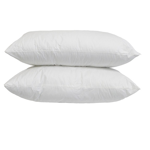 2 Pack hollow fiber pillows.