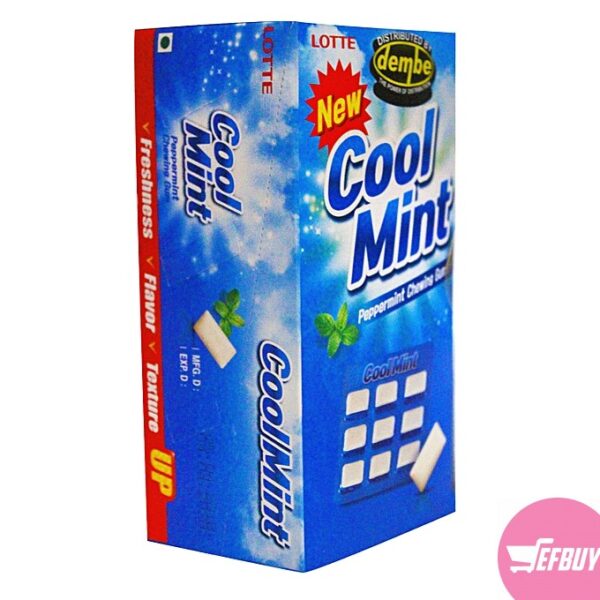 Lotte Cool Mint Peppermint Chewing Gum - 20 Pack