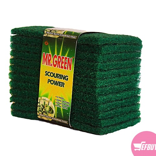 Mr green scourer