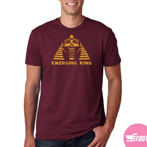 Egyptian tombs t-shirt-Maroon.