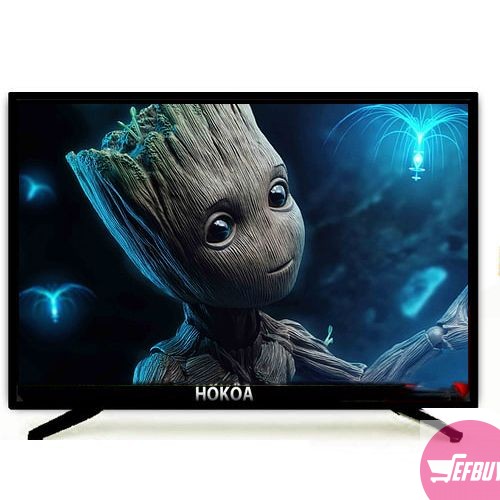 Hokoa Flat Screen T.V 22'' Analog HU22M1E9HD - Black