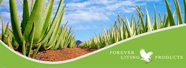 FOREVER LIVING