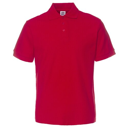 Cotton polo-t shirts with collar. - Image 16