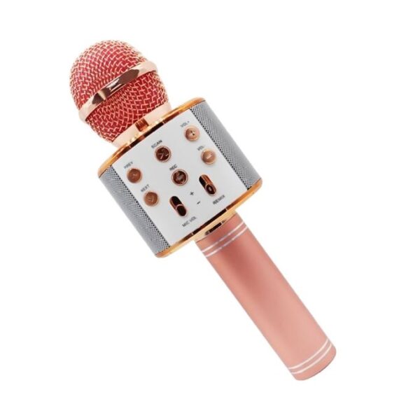 Wireless Bluetooth Handheld Microphone Hifi SPEAKER