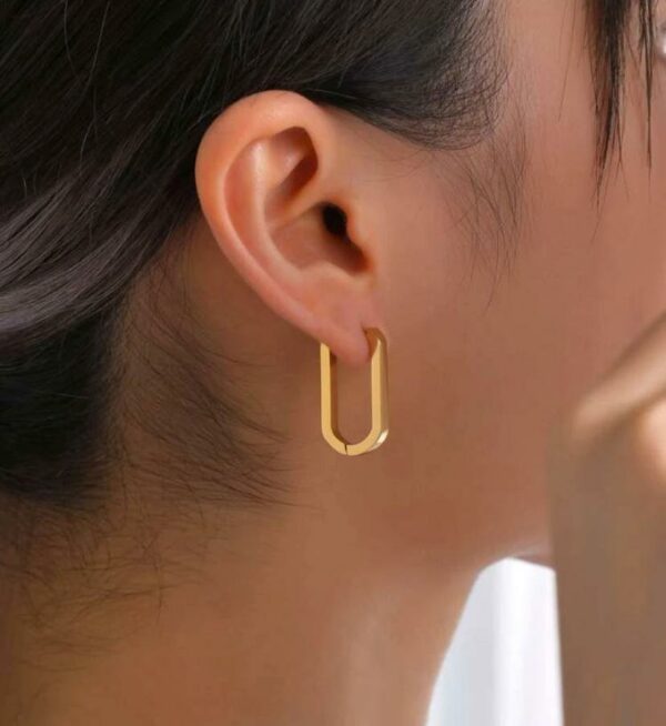 Women's Fabulous Simple Design Earrings-Gold.