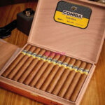 Cohiba Esplendidos 14 pack Cigars.