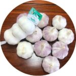 Fresh Garlic-Small Pack Of 4 - Image 2