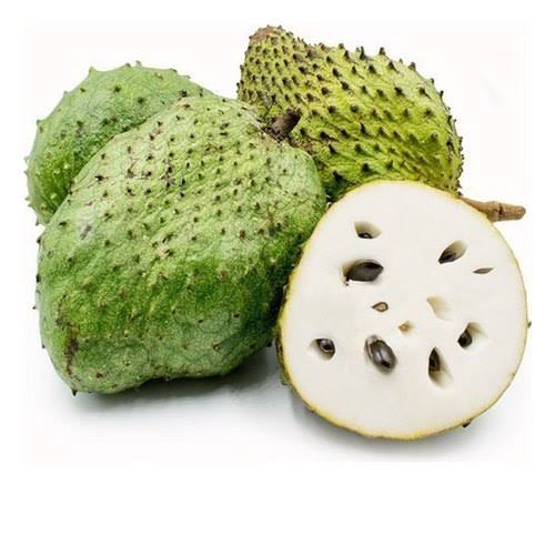 Fresh Soursop-Medium Size