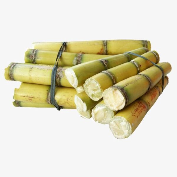 Fresh Sugar Cane-1kg